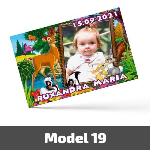 Mărturii Botez Magnetice Cu Poză, Nume Și Dată - Set 10 Buc. - Model 19