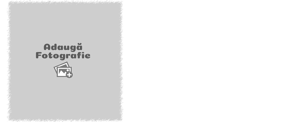 Cană Personalizată - O Poză Cu Text - Vedere Background